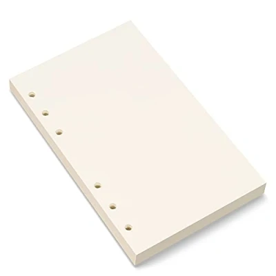 Imagen de papel en blanco A6, de recambio hojas sueltas con 6 agujeros para agenda personal Filofax 80 hojas/160 páginas blanco, 4.1 x 6.6 pulgadas, beige (1)