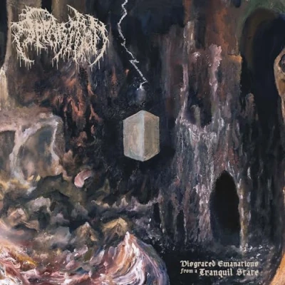 Imagen de Disgraced emanations from a tranquil state [Vinilo]