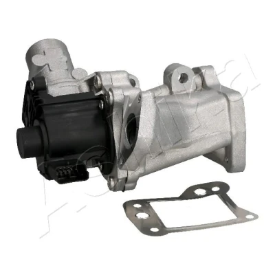 Imagen de Válvula EGR ASHIKA 150 0L L06