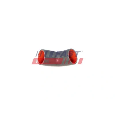 Imagen de Tubo flexible de aire sobrealimentación FAST FT61735