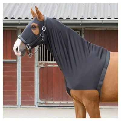 Imagen de Harry&#039;s Horse chest protector with hood