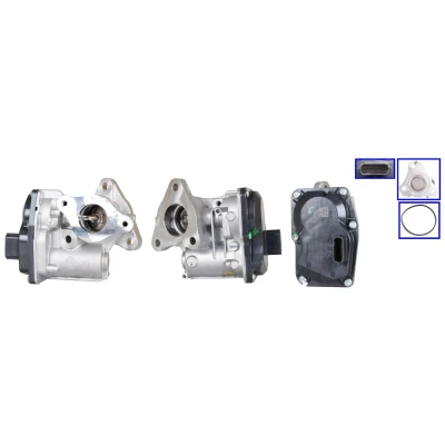 Imagen de ELSTOCK 73 0289 Válvula EGR eléctrico con juntas NISSAN: Qashqai 2, MICRA 5, Juke, RENAULT: GRAND SCENIC 3, Kangoo II Express
