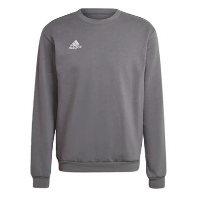 Imagen de adidas Performance Entrada Sudadera, Hombre, Talla: XS, Team grey four