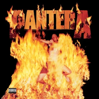 Imagen de Reinventing the Steel [Vinilo]
