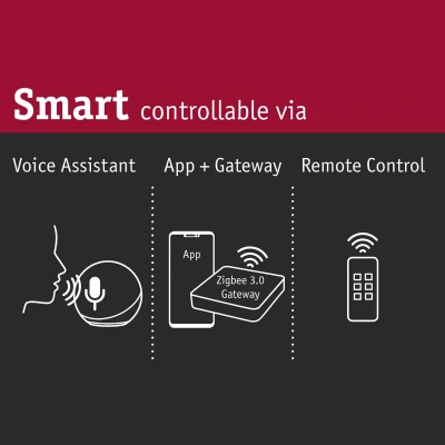 Imagen de Paulmann Smarthome ZigBee MaxLED Controller de conmutación/regulación máx. 144 W 24 V CC, conmutador 50045, Compatible con Amazon Echo Plus, Blanco, Gris, 3.8 x 9.5 2.8 cm