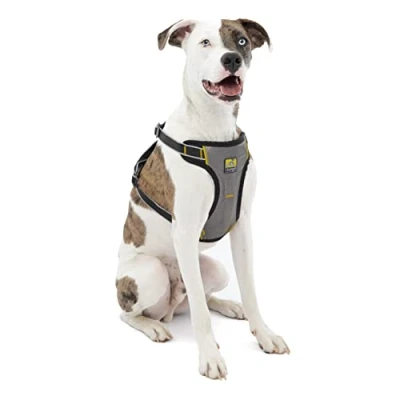 Imagen de Kurgo Impact Arnés de Coche para Perros, A Prueba Impactos, Seguridad, Cinturón hasta 50 kg, Negro, M