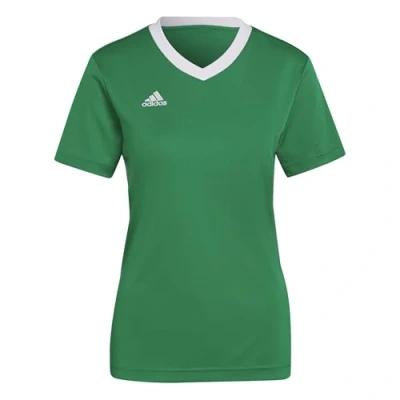 Imagen de adidas Performance Entrada Camiseta deportiva, Hombre, Talla: XXL, Team green/white