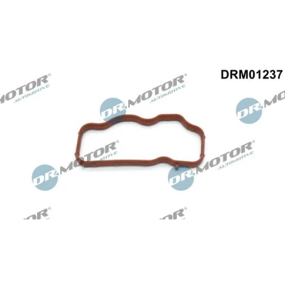 Imagen de DR.MOTOR AUTOMOTIVE DRM01237 Junta Colector de Admision para cilindro 1 3, Entrada AUDI: A4 B7 Avant, A6 C6 Berlina norauto, oscaro,