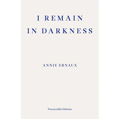 Imagen de I Remain In Darkness