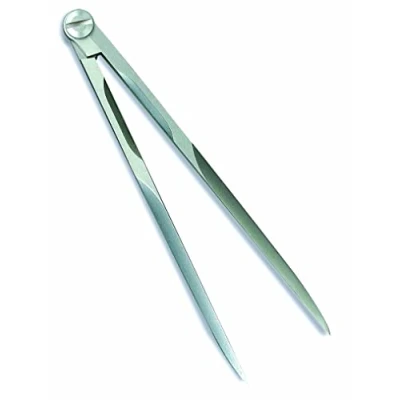 Imagen de compás náutico Profesional de zamak, 18 cm