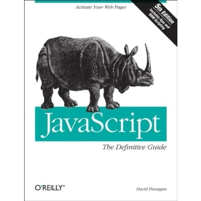 Imagen de Javascript The Definitive Guide