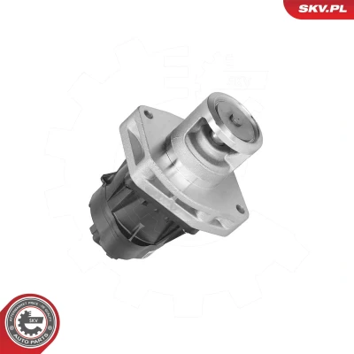 Imagen de Válvula EGR ESEN SKV 14SKV302