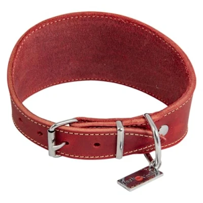 Imagen de JACK AND VANILLA, Collar para Lebro Perro, Modelo Piel Negrita, Color Rojo, Talla 37 cm