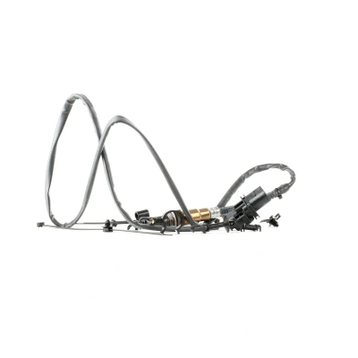 Imagen de BOSCH 0 258 017 180 Sonda lambda 5 AUDI: A4 B7 Berlina, A3 Hatchback, A6 C6 VOLKSWAGEN: GOLF 5, 6, New Beetle Hatchback norauto, oscaro,