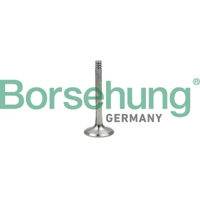 Imagen de Borsehung B18997 Válvula de Escape VOLKSWAGEN: Polo IV Hatchback, Golf 5, 4, SEAT: Leon I Ibiza 3, II Hatchback