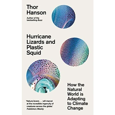Imagen de Hurricane lizards and plastic squid