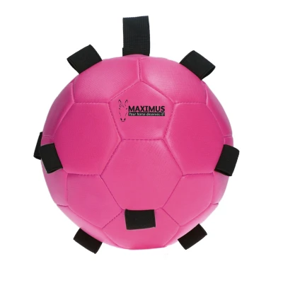 Imagen de Maximus Fun Play Pelota Azul 19 Rosado