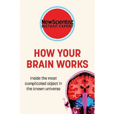 Imagen de How Your Brain Works (ebook)