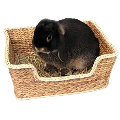Imagen de Rosewood Cama para Animales Pequeñ Romper el aburrimiento