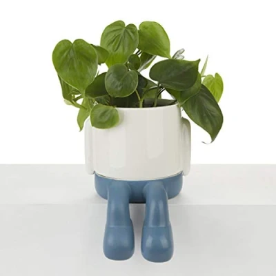 Imagen de Balvi Maceta MrDangly Color Azul y Blanco Tiesto para Plantas en Forma de Personaje simpático con Rec