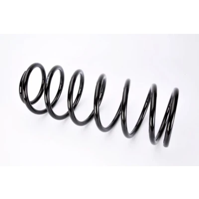 Imagen de Magnum Technology S00001MT Muelle de suspensión Eje delantero helicoidal