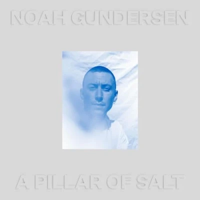 Imagen de A Pillar Of Salt [Vinilo]