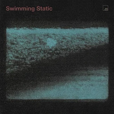 Imagen de Swimming Static Vinilo