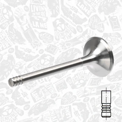 Imagen de ET ENGINETEAM VE0084 Válvula de escape 32,9mm Lado VOLKSWAGEN: Golf 3, 4, Passat B5 GP Sedán, SEAT: Ibiza 2, Leon I Hatchback