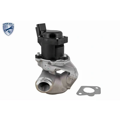Imagen de VEMO V22 63 0005 Válvula EGR EXPERT KITS + eléctrico electromagnética, de extrangulación con junta, sin radiator FORD: FIESTA 5