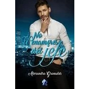 Imagen de ¡No te enamores del jefe! (JUVENIL Y FANTASIA)