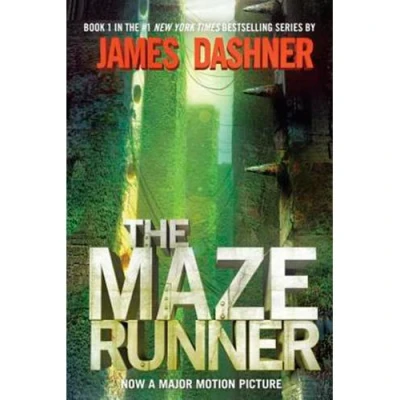 Imagen de The maze runner 1