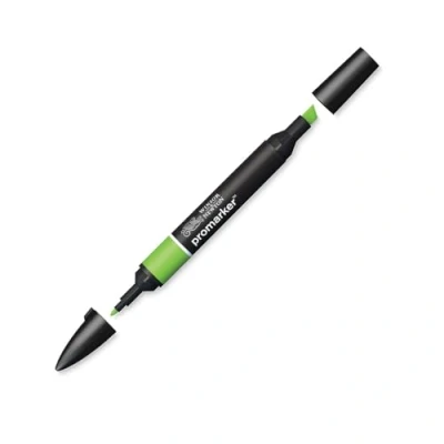 Imagen de Winsor &amp; Newton Rotulador ProMarker, Verde Vivo (G267)