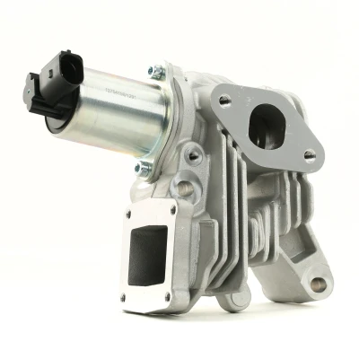 Imagen de RIDEX 1145E0179 Válvula EGR eléctrico con junta RENAULT: GRAND SCENIC 2, MEGANE 2
