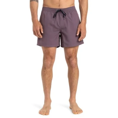 Imagen de Quiksilver Everyday Solid 15 Bañador, Hombre, Talla: Small, Pqc
