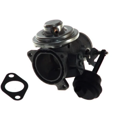 Imagen de WAHLER 7293D Válvula EGR neumático con juntas SEAT: Toledo 2 Limousine, Leon I Hatchback, Ibiza 3, VOLKSWAGEN: Golf 4, Polo IV Hatchback