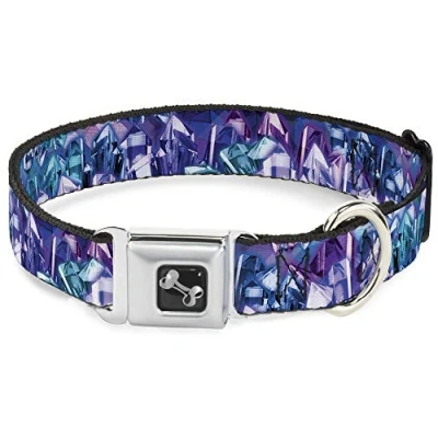 Imagen de Buckle Down Hebilla Collares de Moda para Mascotas, Acero aleación poliéster, Multicolor, 1&quot; Wide Fits 11 17&quot; Neck Medium