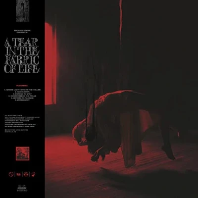Imagen de Knocked Loose A Tear In The Fabric Of Life [Vinilo]