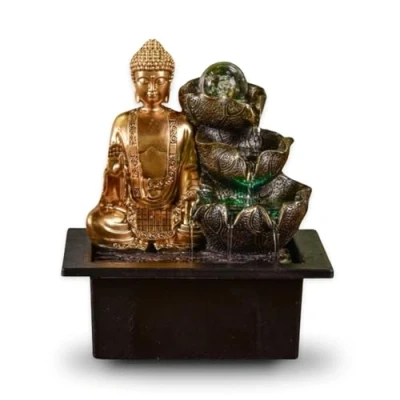 Imagen de Coco Papaya Fuente de Interior para Buda Arya con Bola Cristal e iluminación LED