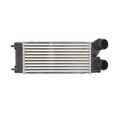 Imagen de THERMOTEC DAP002TT Intercooler 300 147 80 CITROËN: Berlingo II, C4 Coupé, II Furgón, PEUGEOT: 308 I Hatchback, Partner Tepee