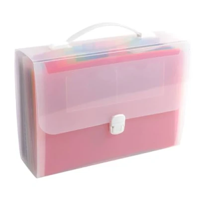 Imagen de Exacompta 55698e carpeta maletín con asa de 24 compartimentos en Polypro 33 x 29 cm MULTICOULEUR cristal