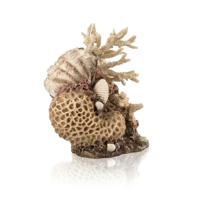 Imagen de biOrb Coral con conchas decorativo en color natural