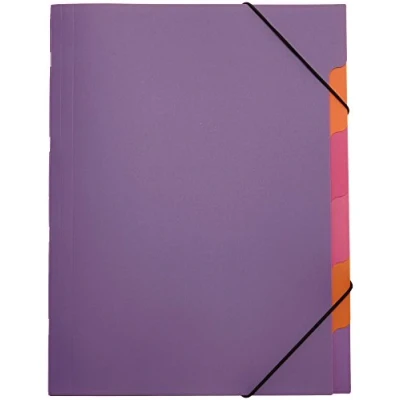 Imagen de PAGNA Trieur &quot;Funky School&quot;, A4, PP, 5 compartiments