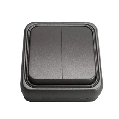 Imagen de bf 18 Doble interruptor superficie 10a 250v grafito bolsa