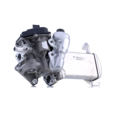 Imagen de VALEO ORIGINAL PART 700438 Módulo AGR con radiator EGR, juntas válvula bypass de depresión, sin abrazadera