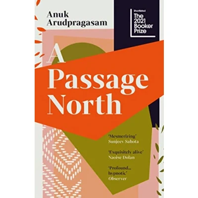 Imagen de A Passage North