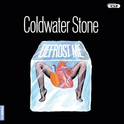 Imagen de Defrost Me Vinilo Transparente Coldwater Stone