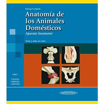 Imagen de Anatomia de los animales domesticos