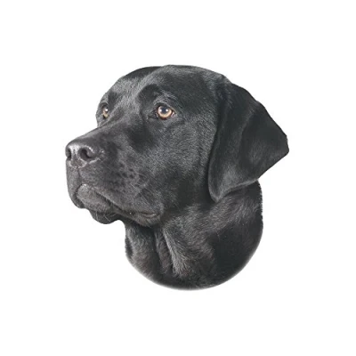 Imagen de Nobby Pegatina Labrador, Negro