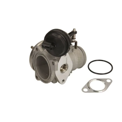 Imagen de MAGNETI MARELLI 571822112046 Válvula EGR SEAT: Leon I Hatchback, Toledo 2 Limousine, Ibiza 3, VOLKSWAGEN: Golf 4, Polo IV 4 Variant