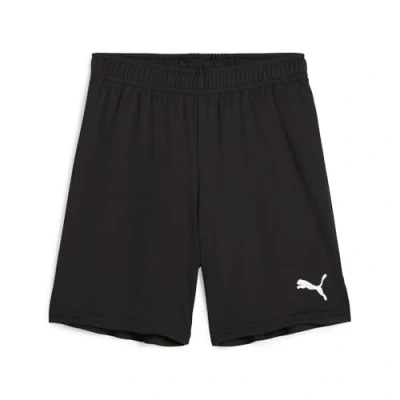 Imagen de PUMA TeamGOAL Shorts Jr